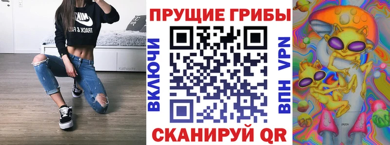 купить наркоту  Макарьев  Псилоцибиновые грибы Psilocybe 